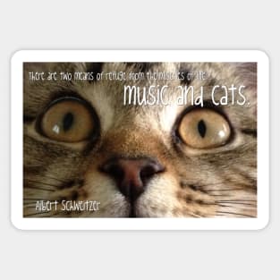 Music And Cats Sticker